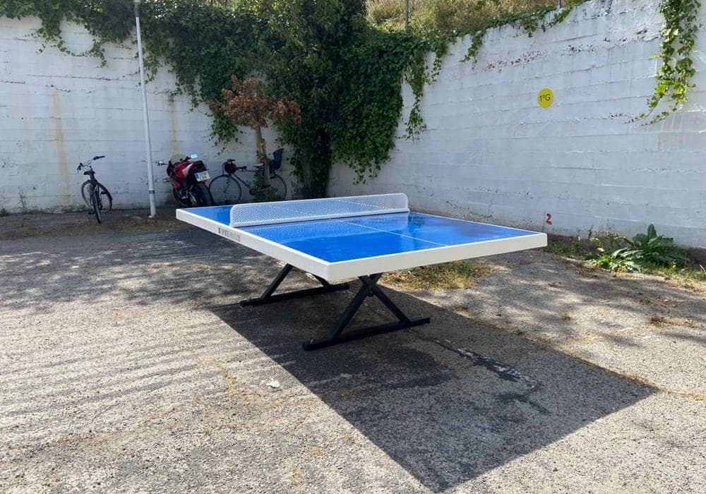 ping-pong-forte-ies-alcobendas-2
